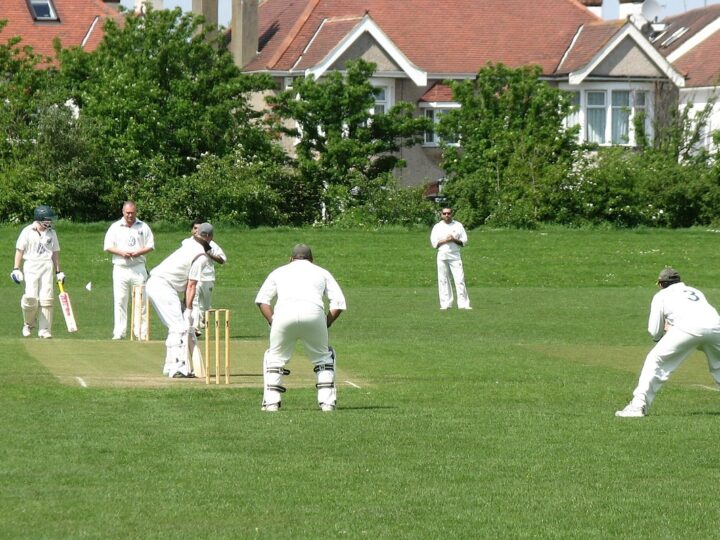 Cricket is also making family to play