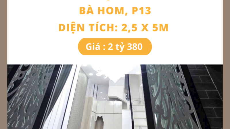 Bán nhà mới xây hẻm 208 Bà Hom, Phường 13, Quận 6 – Ngay chợ Phú Lâm, vị trí đắc địa